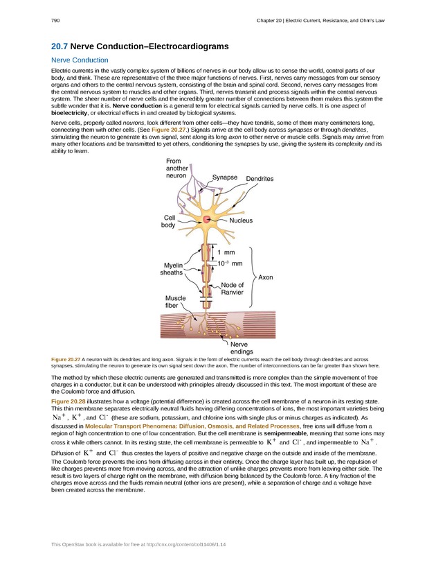 College Physics (Algebra) - New Page