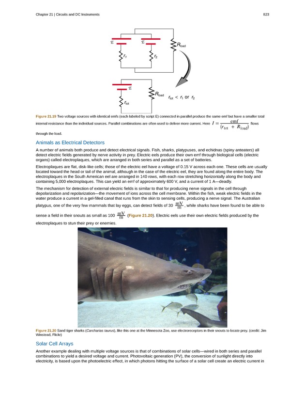 College Physics (Algebra) - New Page