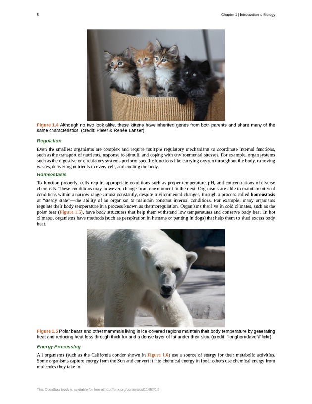 Concepts of Biology (non-majors) - Page 4