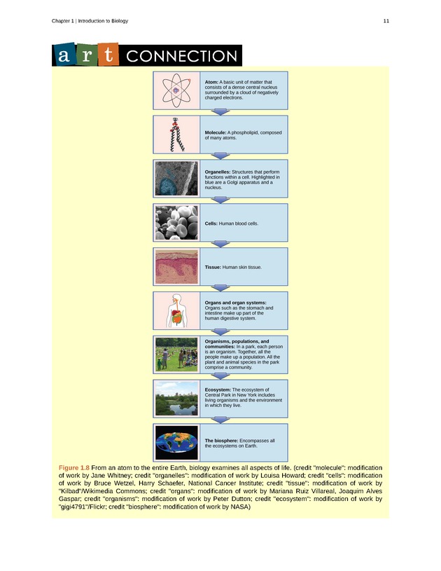 Concepts of Biology (non-majors) - Page 7