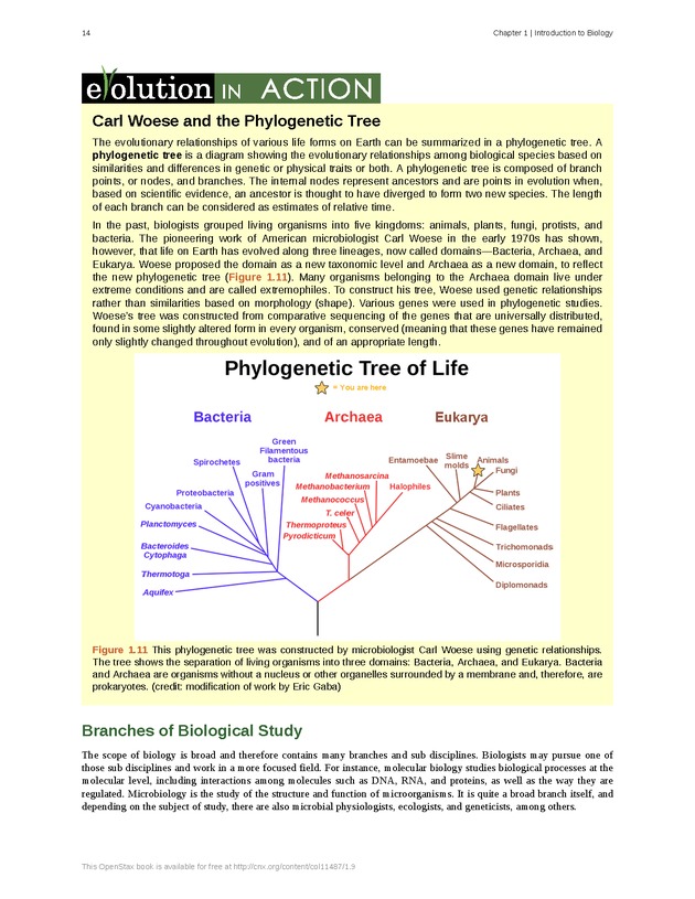 Concepts of Biology (non-majors) - Page 10