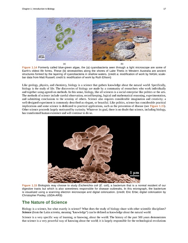 Concepts of Biology (non-majors) - Page 13