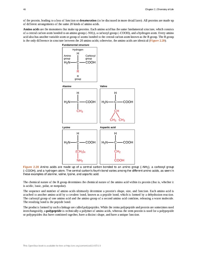 Concepts of Biology (non-majors) - Page 42