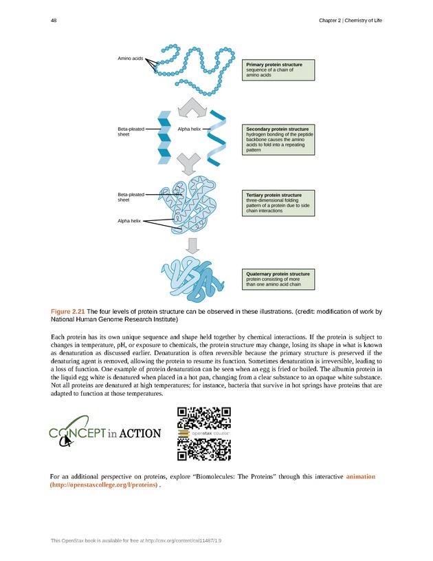 Concepts of Biology (non-majors) - Page 44