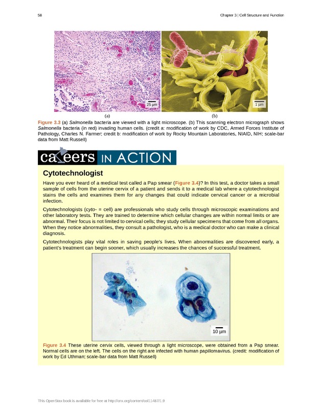 Concepts of Biology (non-majors) - Page 54