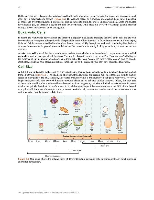 Concepts of Biology (non-majors) - Page 56