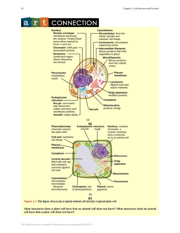 Concepts of Biology (non-majors) - Page 58