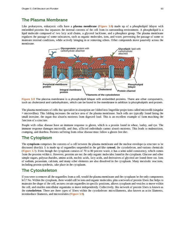 Concepts of Biology (non-majors) - Page 59