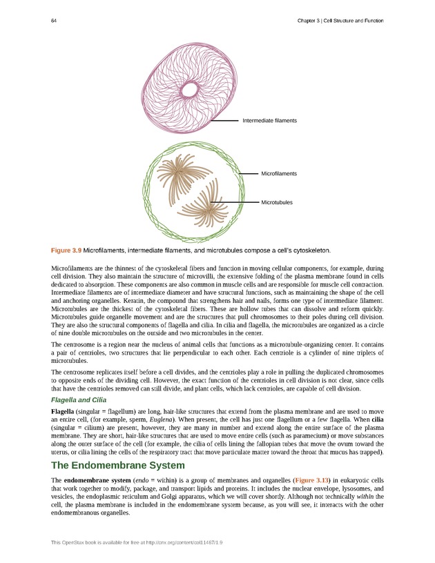 Concepts of Biology (non-majors) - Page 60