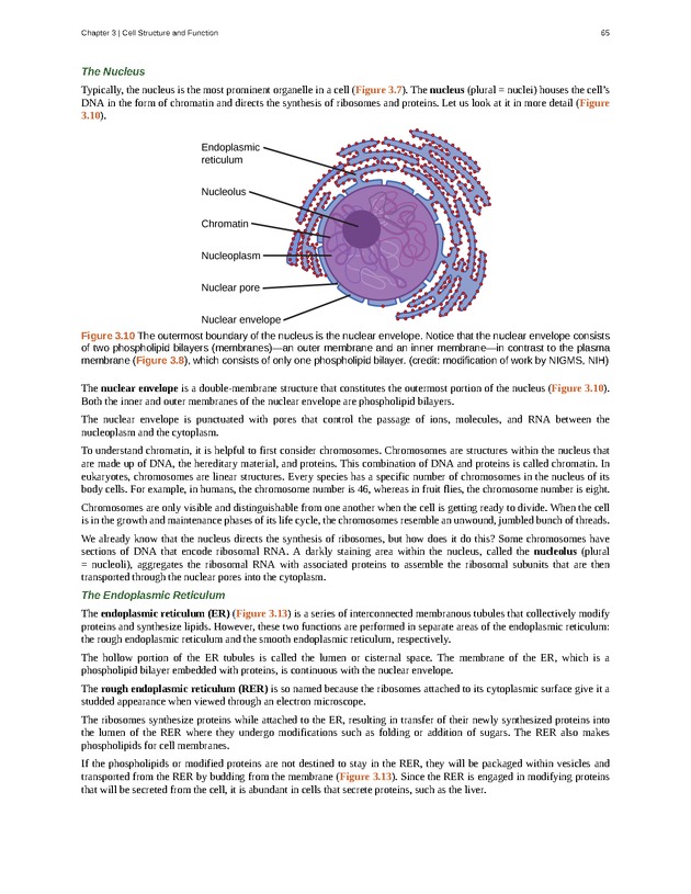 Concepts of Biology (non-majors) - Page 61