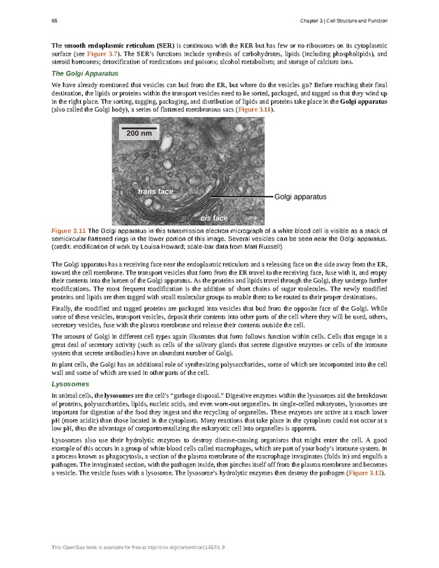 Concepts of Biology (non-majors) - Page 62