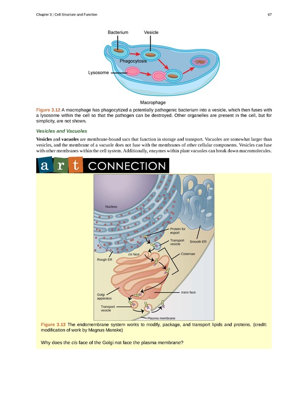 Concepts of Biology (non-majors) - Page 63