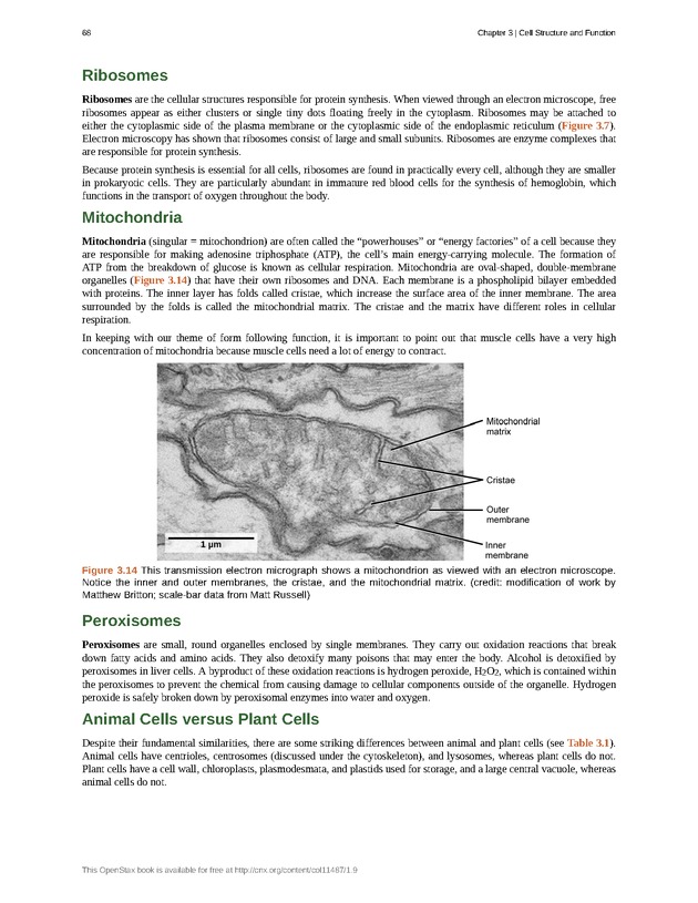 Concepts of Biology (non-majors) - Page 64