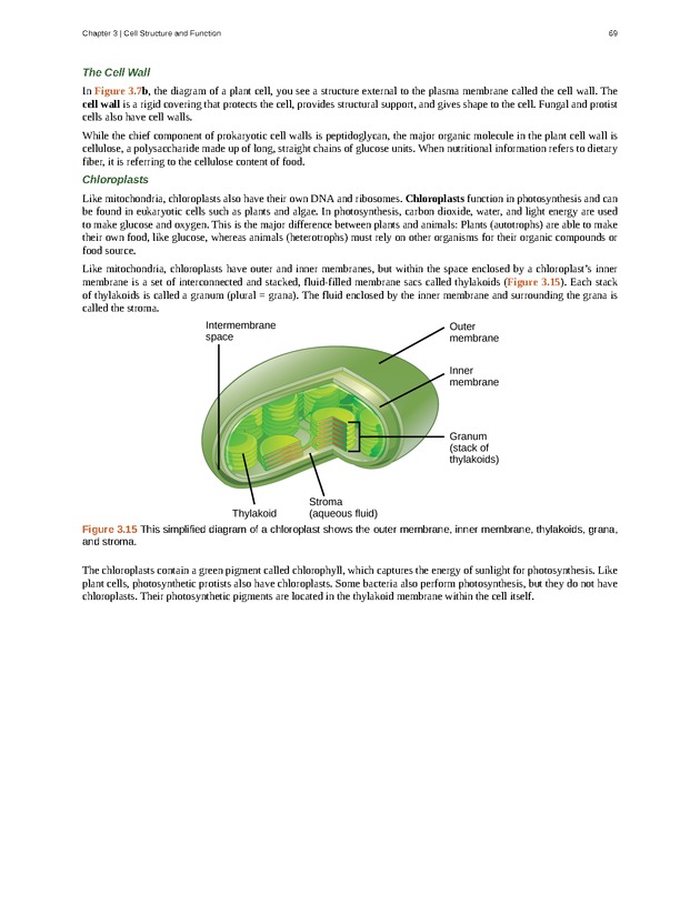 Concepts of Biology (non-majors) - Page 65