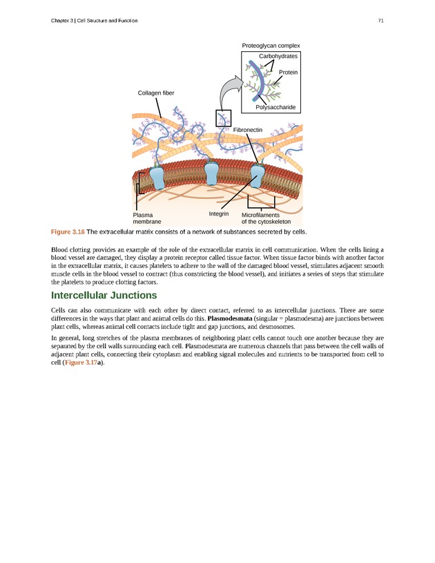 Concepts of Biology (non-majors) - Page 67