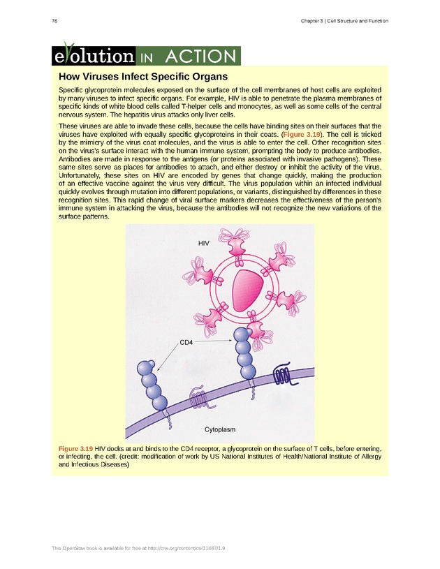 Concepts of Biology (non-majors) - Page 72