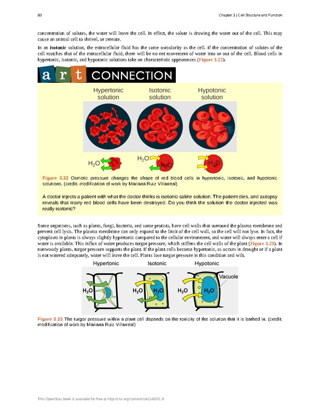 Concepts of Biology (non-majors) - Page 76