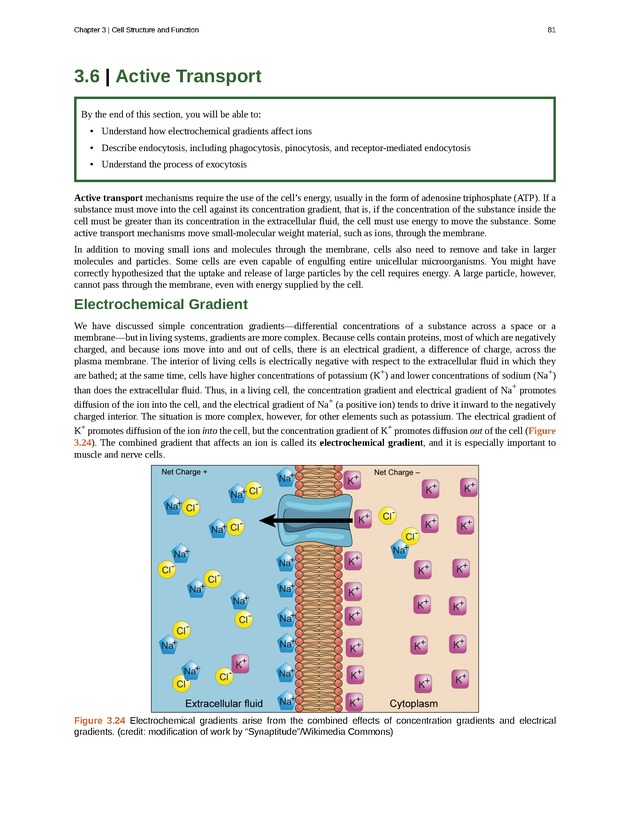 Concepts of Biology (non-majors) - Page 77