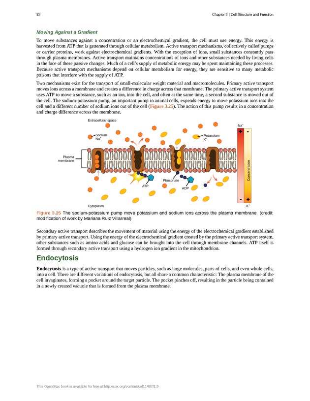Concepts of Biology (non-majors) - Page 78