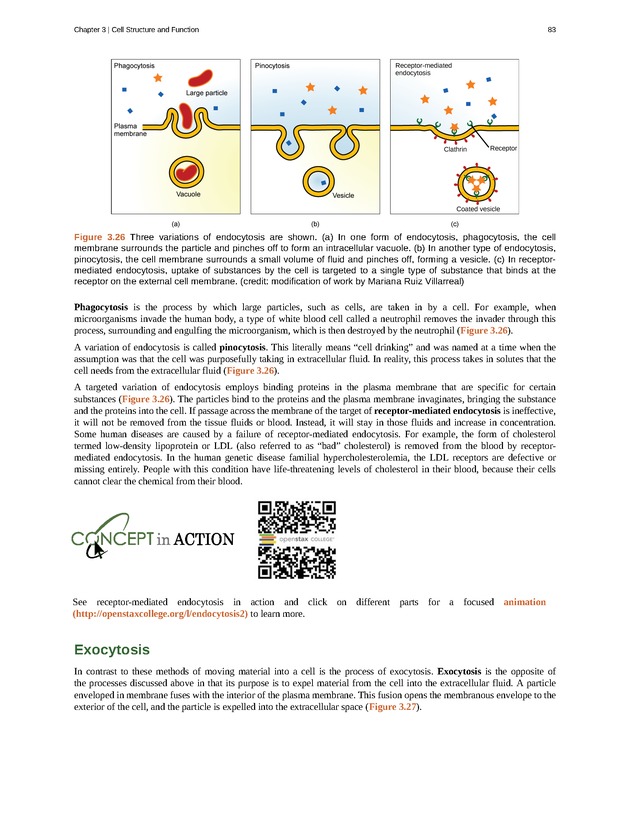 Concepts of Biology (non-majors) - Page 79