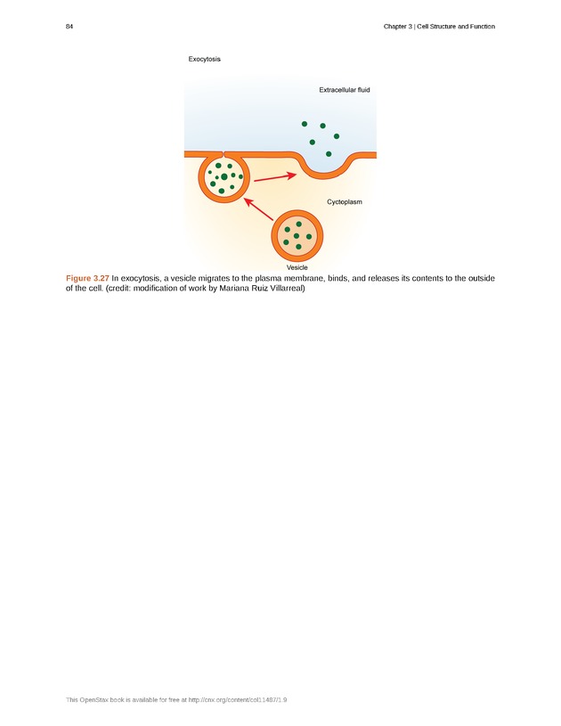 Concepts of Biology (non-majors) - Page 80