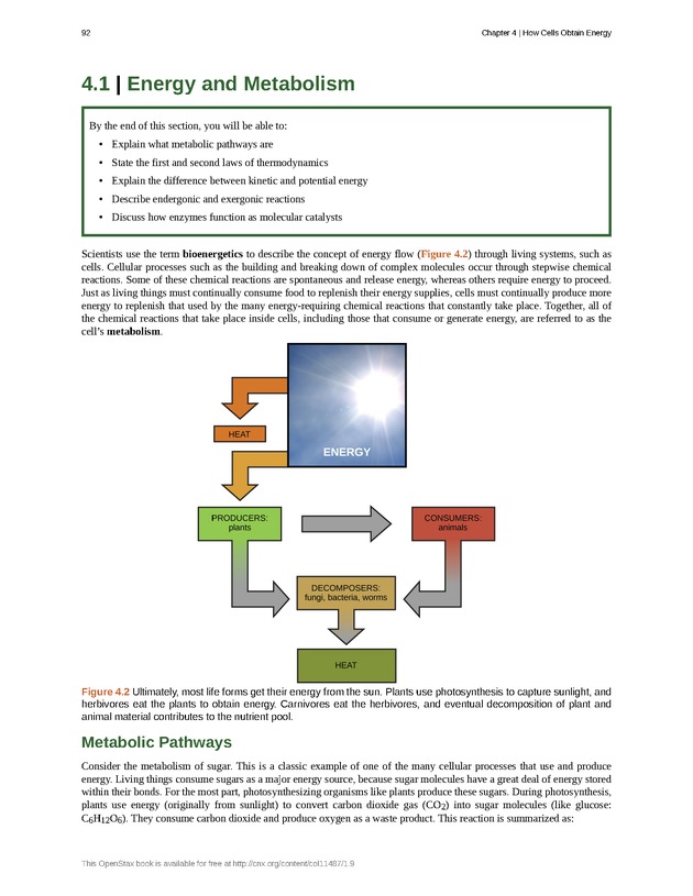 Concepts of Biology (non-majors) - Page 88