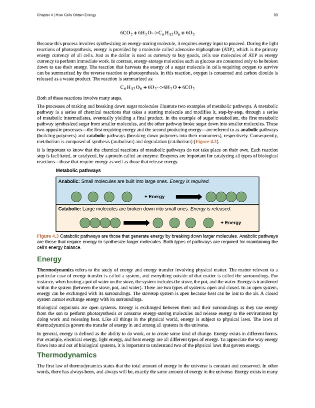 Concepts of Biology (non-majors) - Page 89