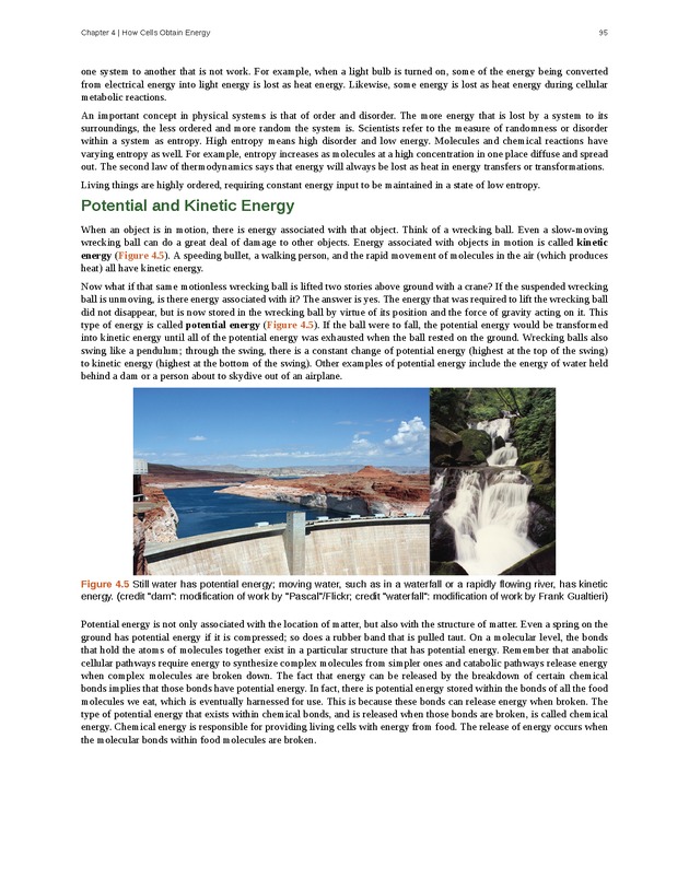 Concepts of Biology (non-majors) - Page 91