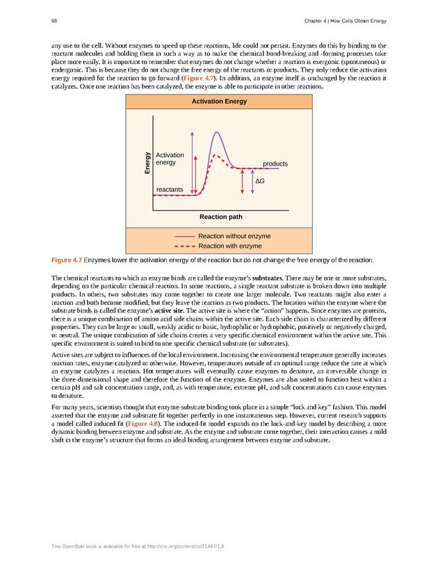 Concepts of Biology (non-majors) - Page 94