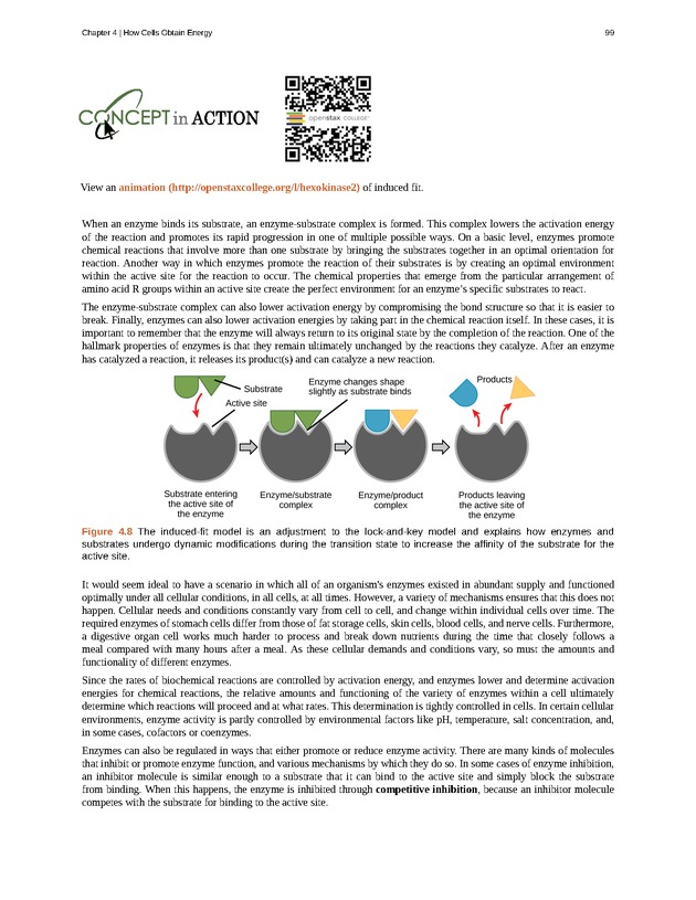 Concepts of Biology (non-majors) - Page 95