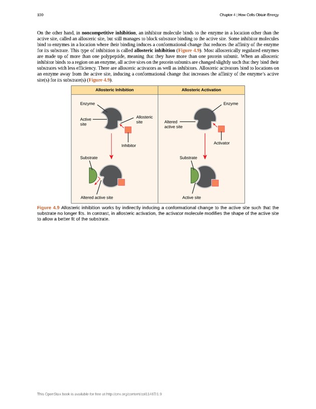 Concepts of Biology (non-majors) - Page 96