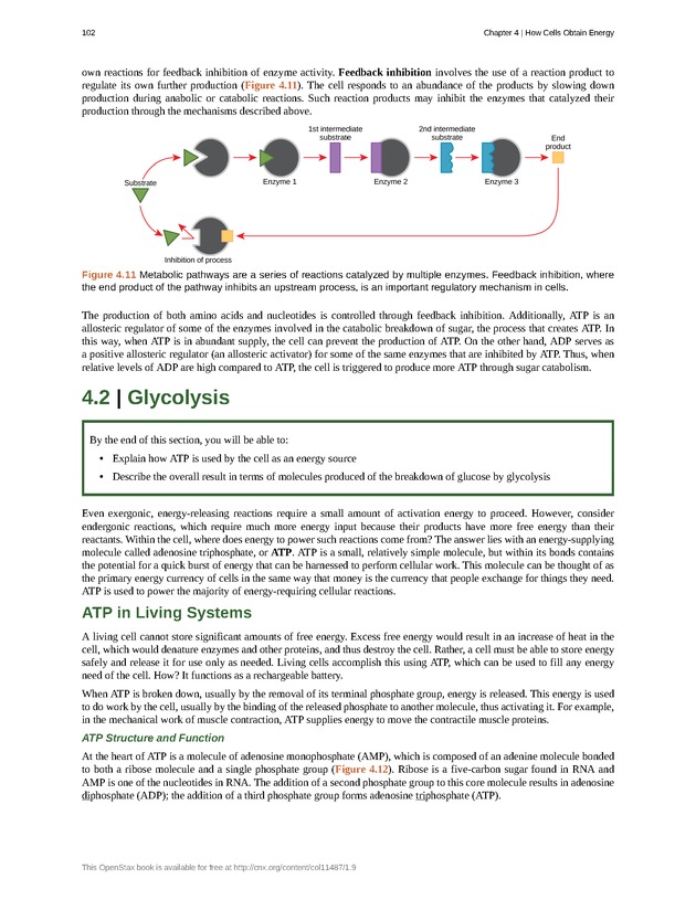 Concepts of Biology (non-majors) - Page 98