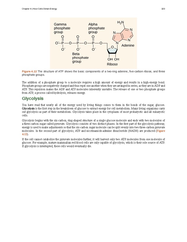 Concepts of Biology (non-majors) - Page 99