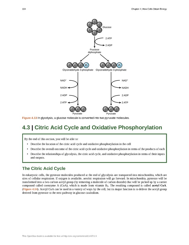 Concepts of Biology (non-majors) - Page 100