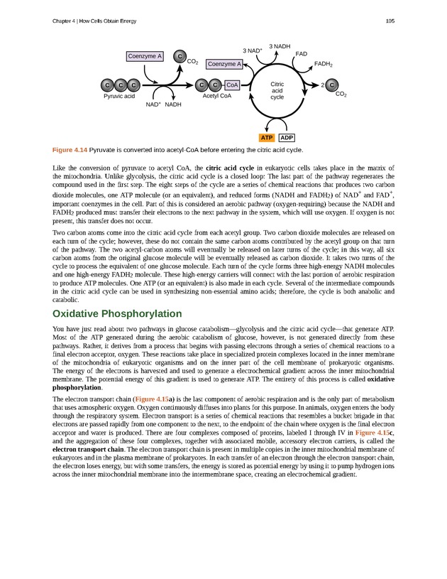 Concepts of Biology (non-majors) - Page 101