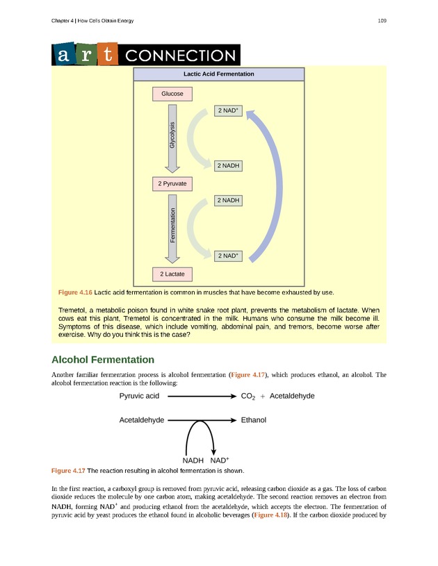Concepts of Biology (non-majors) - Page 105