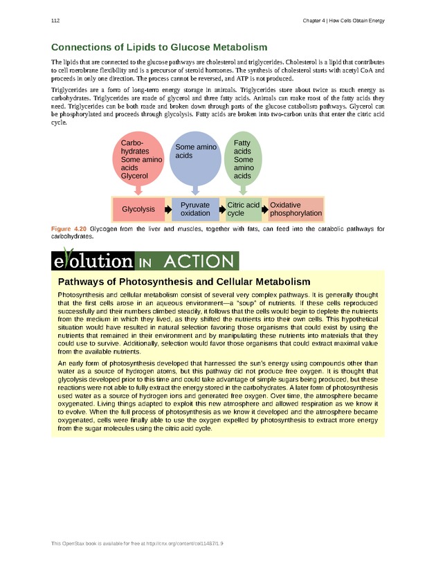 Concepts of Biology (non-majors) - Page 108