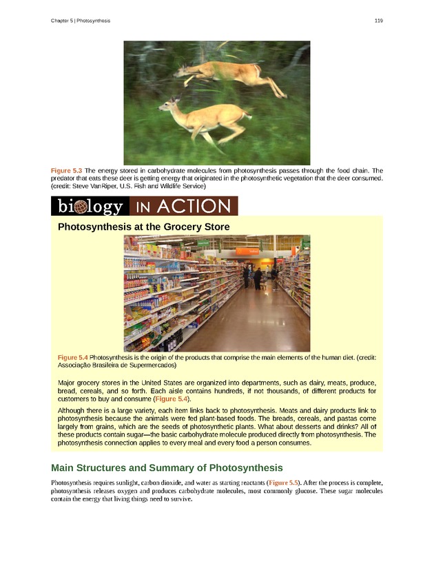 Concepts of Biology (non-majors) - Page 115