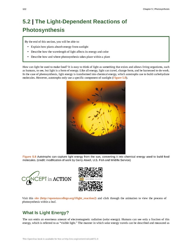 Concepts of Biology (non-majors) - Page 118