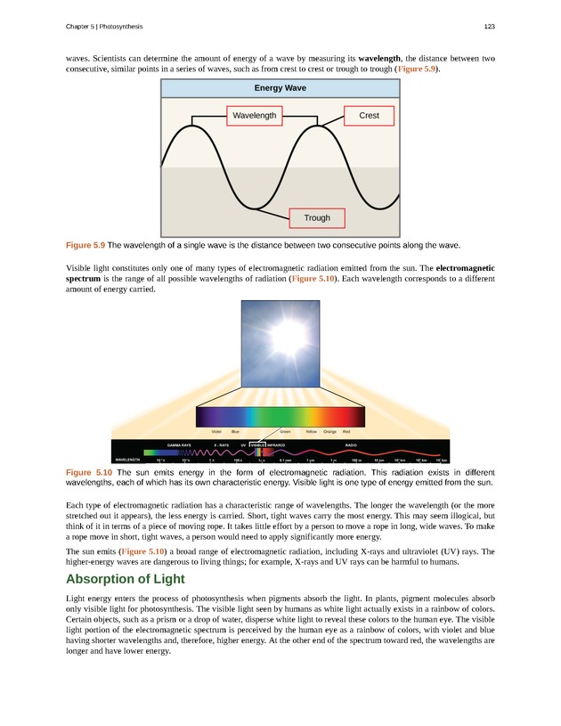 Concepts of Biology (non-majors) - Page 119