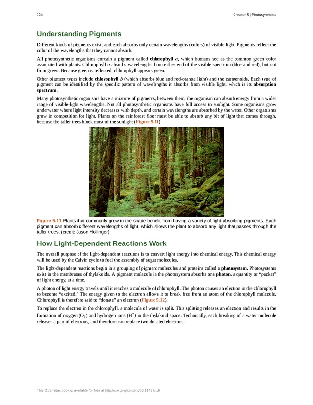 Concepts of Biology (non-majors) - Page 120