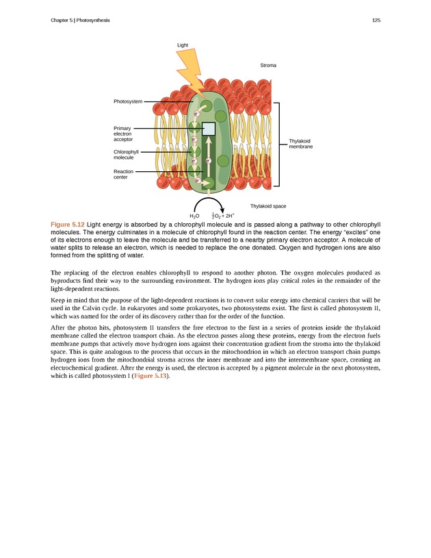 Concepts of Biology (non-majors) - Page 121