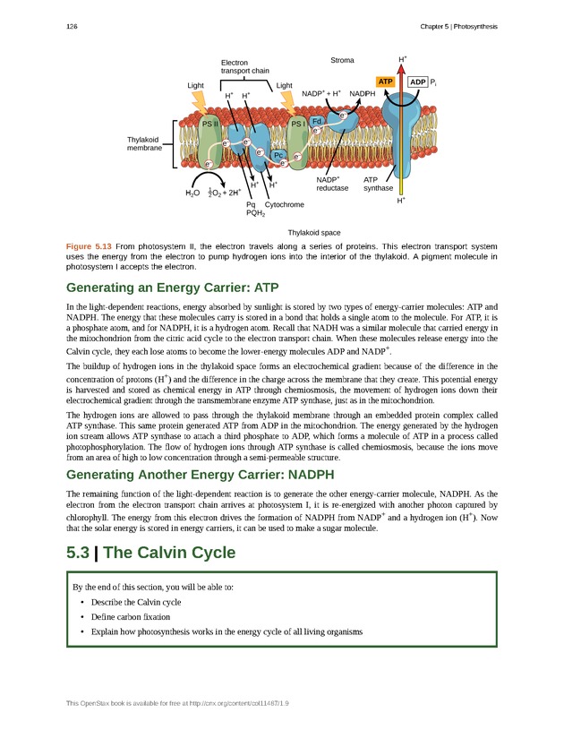 Concepts of Biology (non-majors) - Page 122