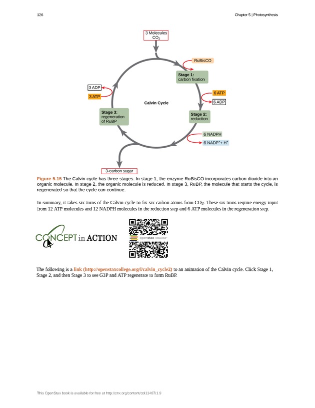Concepts of Biology (non-majors) - Page 124