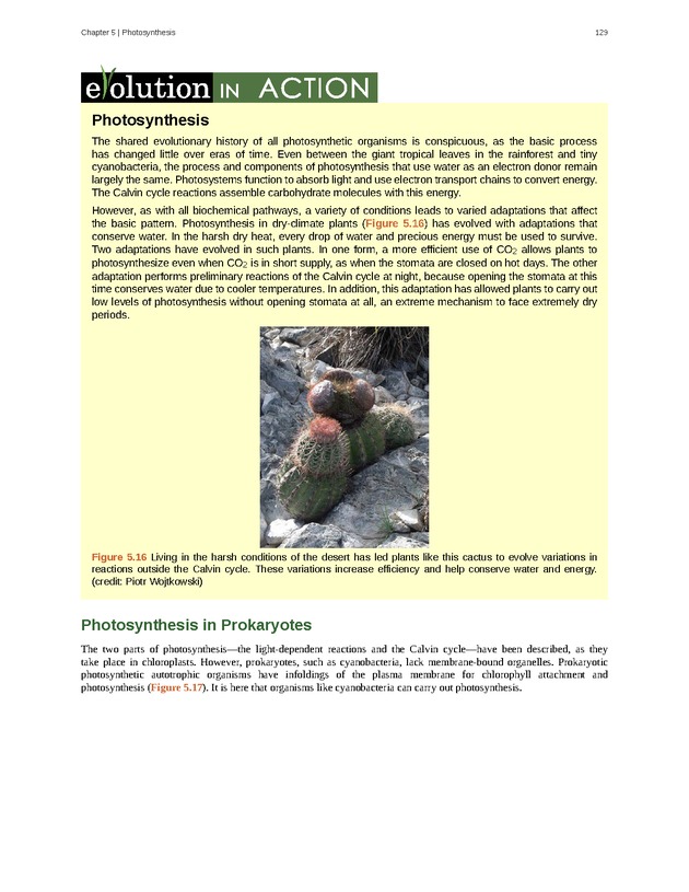 Concepts of Biology (non-majors) - Page 125