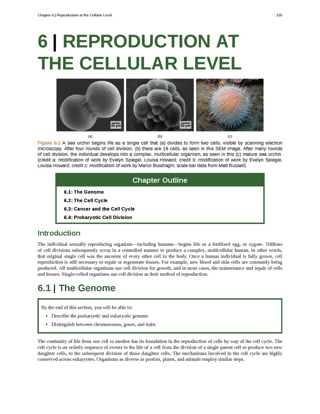 Concepts of Biology (non-majors) - Page 131