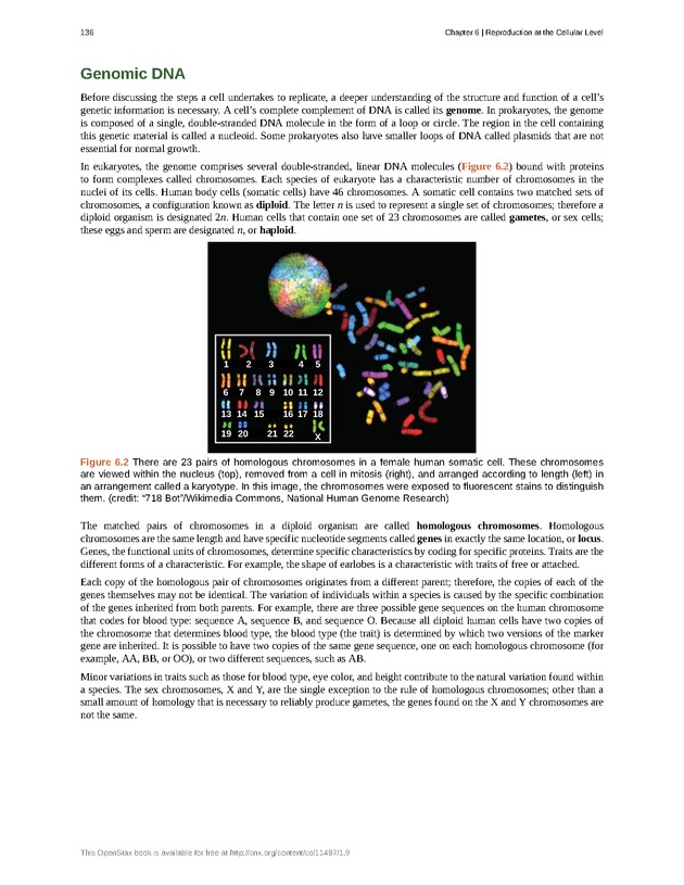 Concepts of Biology (non-majors) - Page 132
