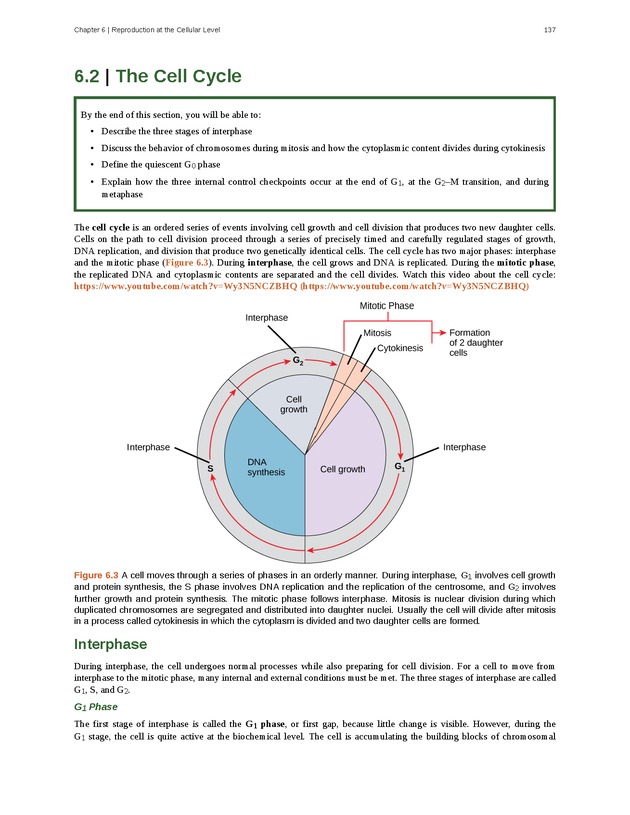 Concepts of Biology (non-majors) - Page 133