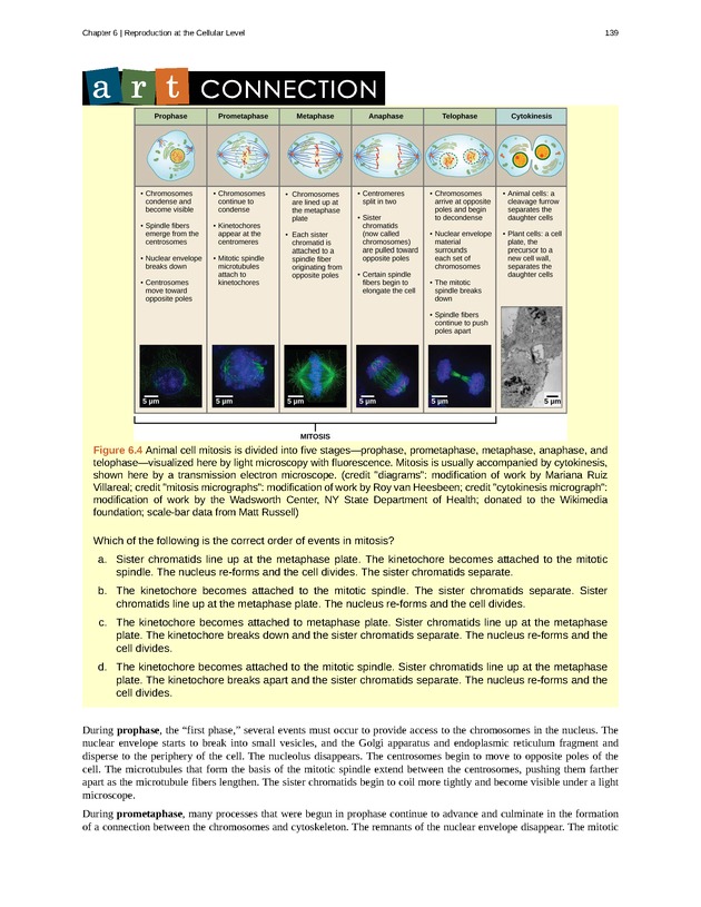 Concepts of Biology (non-majors) - Page 135