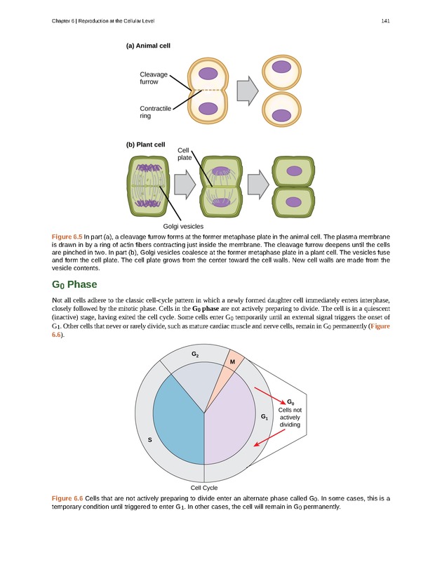 Concepts of Biology (non-majors) - Page 137